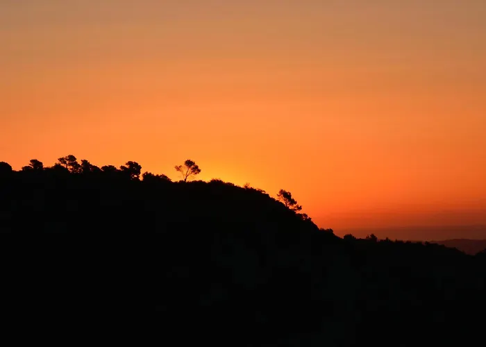 Cor De Prades