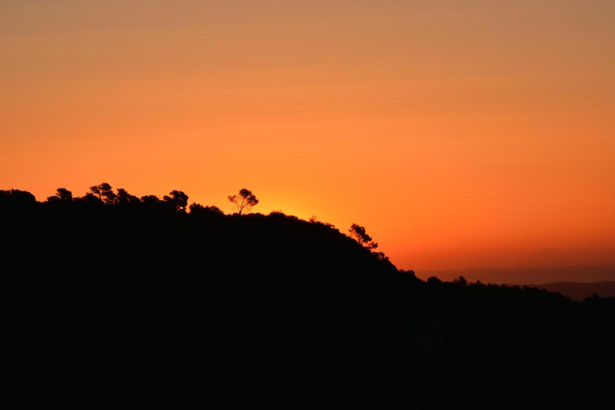 Cor De Prades * Mont-ral